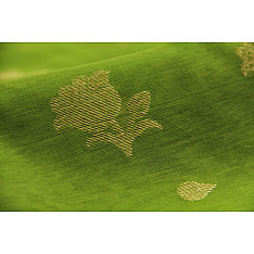 Satyabhama - Chanderi Saree ~ 9