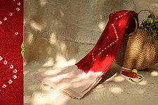 शाकरचित | Shakrachit ⚹ Handwoven Woolen Stole { 18 }