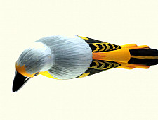 Some chirrups from wilderness ~ Scarlet minivet