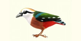 Some chirrups from wilderness ~ Indian Pitta