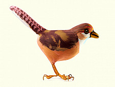 Some chirrups from wilderness ~ Robin