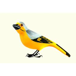 Some chirrups from wilderness ~ Scarlet minivet