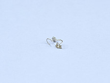 Charushila ~ Kutchi Noes pin - G (Set of two)