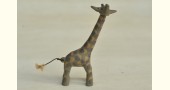 Zing Zo ~ A Giraffe