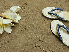 Quirky Taps ♠ Fridge Magnet ~ 5