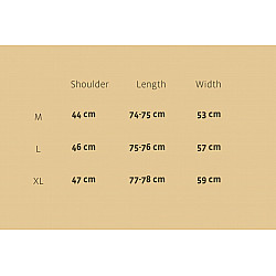 Sanganeri . Cotton Shirt ~ Blue line