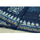 Chandni ✲ Handwoven Chanderi . Batik Saree ✲ 24