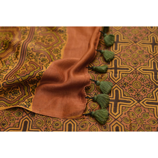 परवा ❋ Gajji Silk . Ajrakh Saree { b }