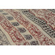 Varunika : Block printed Cotton Saree ~ 21