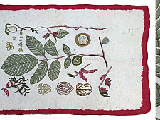 Kashmiri Namda ~ Akhrot Phirozi  (5' X 3') ~ 1