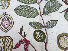 Kashmiri Namda ~ Akhrot Phirozi  (5' X 3') ~ 1