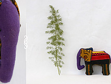 GO PO - The Elephant ✽ 11