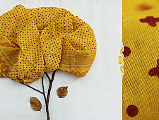 A Few Withered Branches ~ Chanderi Stoles ~ 1