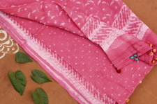 Vani ✜ Kota Block Printed ✜ Duppatta-10