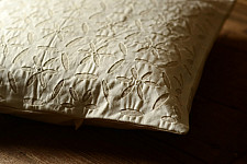 Applique Cushion ~ 4 