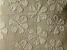 Applique Cushion ~ 5