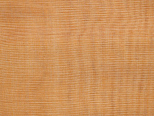 Handwoven Fabric ⚵ Tissue Silk Maheshwari ⚵ 4 { 2.5 meter }