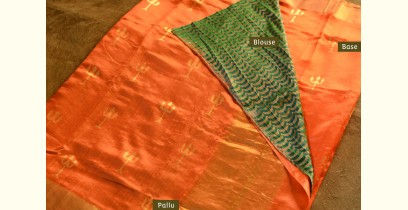 Madhubala ✽ Banarasi Silk Saree ✽ 18