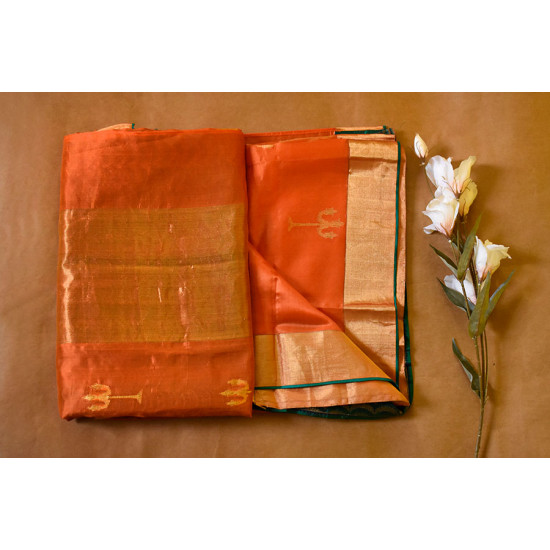 Madhubala ✽ Banarasi Silk Saree ✽ 18