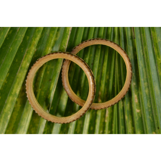 Twipura Sundari ~ Bamboo Bangles ~ 10 { 5.5cm }