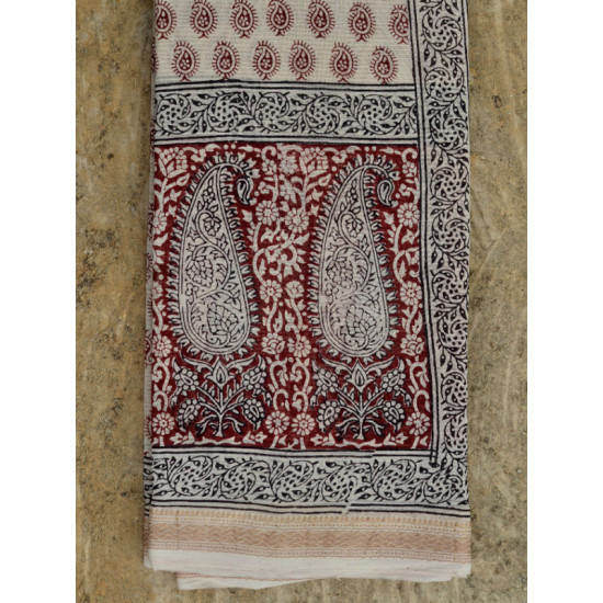 Bagheshwari * बाघेश्वरी  { Bagh + Maheshwari Saree - 17 }