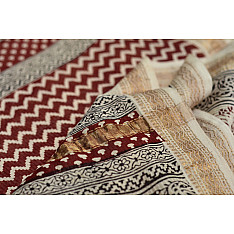 Bagheshwari * बाघेश्वरी  { Bagh + Maheshwari Saree - 17 }