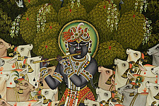 Pichwai Painting ~ Sri Krishna with Cow  ( 33 X 43 inch )