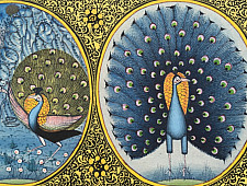 Miniature Painting ~ Mayur {A}