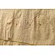 सूरजमुखी ✺ Handwoven Silk Dupatta { 53 }