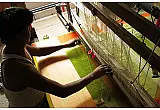 Weaving