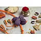 shop handmade plantable seed rakhi