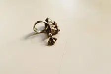 Kanupriya || Banjara Ring