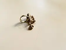 Kanupriya || Banjara Ring