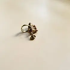 Kanupriya || Banjara Ring