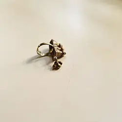 Kanupriya || Banjara Ring