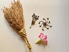 Kanupriya || Banjara Jewelry - Earring