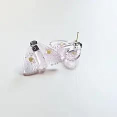 Kusumaprabha . कुसुमांप्रभा ✦ Handmade Glass Pale Pink Moth Earring