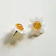 handcrafted translucent frosted glass daisy stud earrings featuring layered white petals and a textured amber yellow center cap