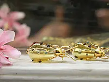 कुसुमांप्रभा ✤ Glass Jewelry ✤ Earring ✤ 8
