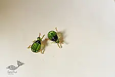 Kusumaprabha . कुसुमांप्रभा ✤ Designer Glass Earring - Green Bug