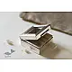 रजत ❧ | Silver Square box - Small - Transparent Top | 6