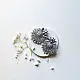 handcrafted german silver lotus motif stud earrings featuring a textured circular centerpiece, radiating petal border, crown leaf crest, and dangling pearl ghungroos