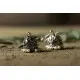 धरा ✽ Antique Finish White Metal ✽ Earring { 3 }