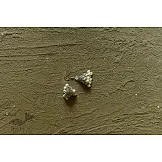 Dhara . धरा | White Metal - Small Jhumka Earring ( Two Color Options )