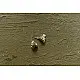 shop Small Jhumka Earring ( Two Color Options )