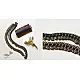 shop Antique Finish Tribal Anklet