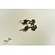 shop Banjara Jewelry - Banjara Jewelry - Old Style Earring