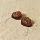 Handmade Bead Necklace Brown colour
