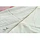 shop cotton handloom  saree - Off White & Red