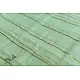shop Handwoven cotton saree - Pistachio Green